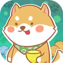 曙光信仰